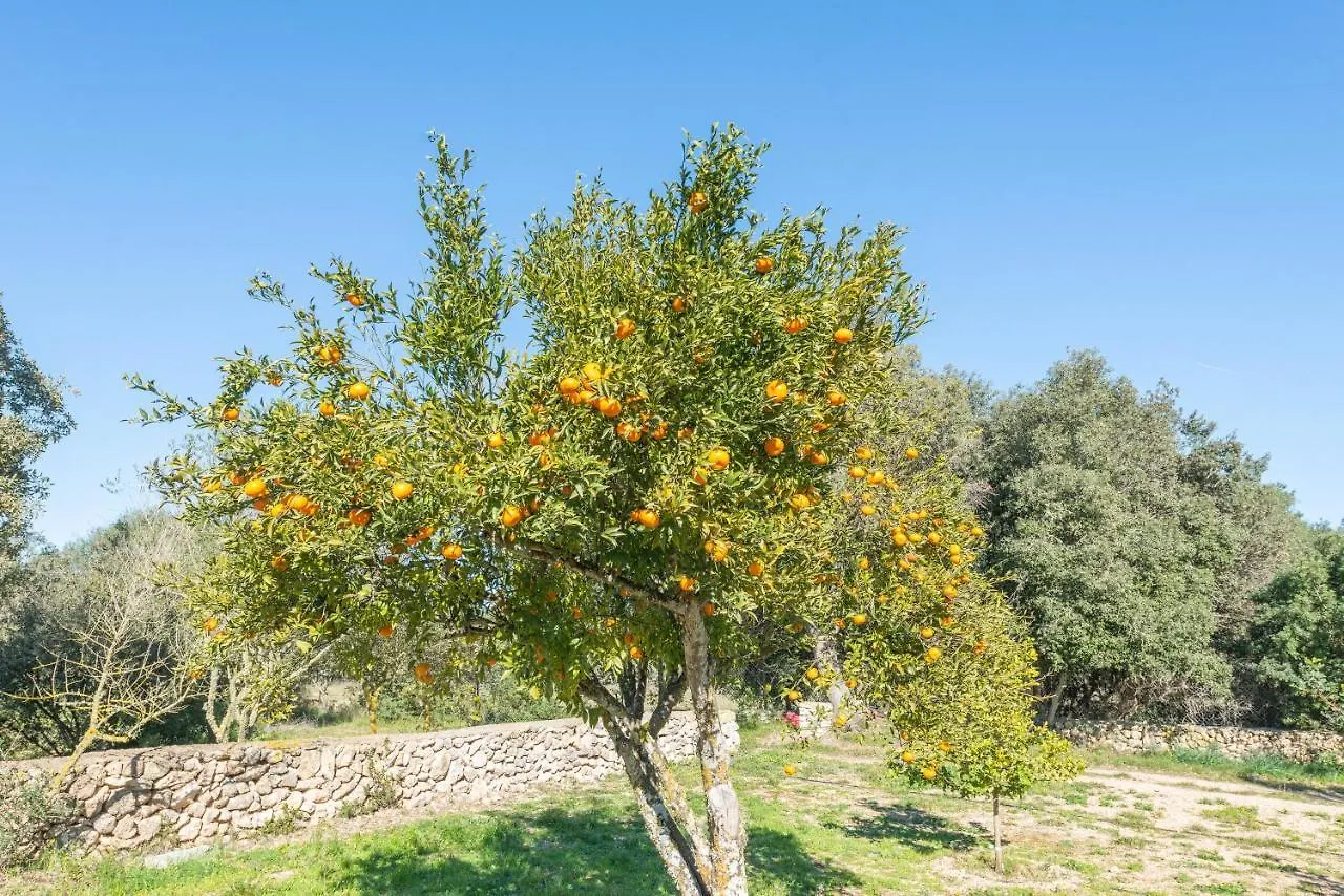 Villa Son Brun Manacor